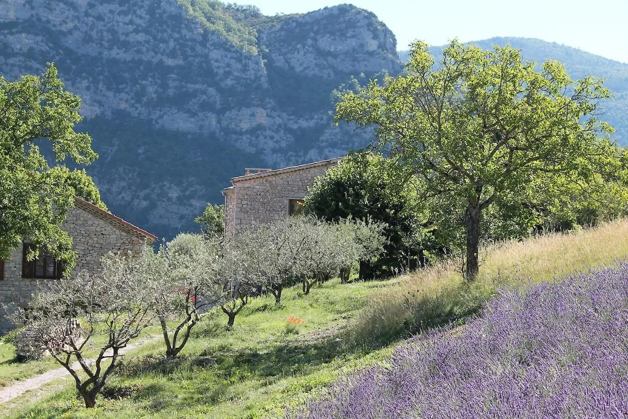 Entre Terre Et Ciel Bed & Breakfast Remuzat