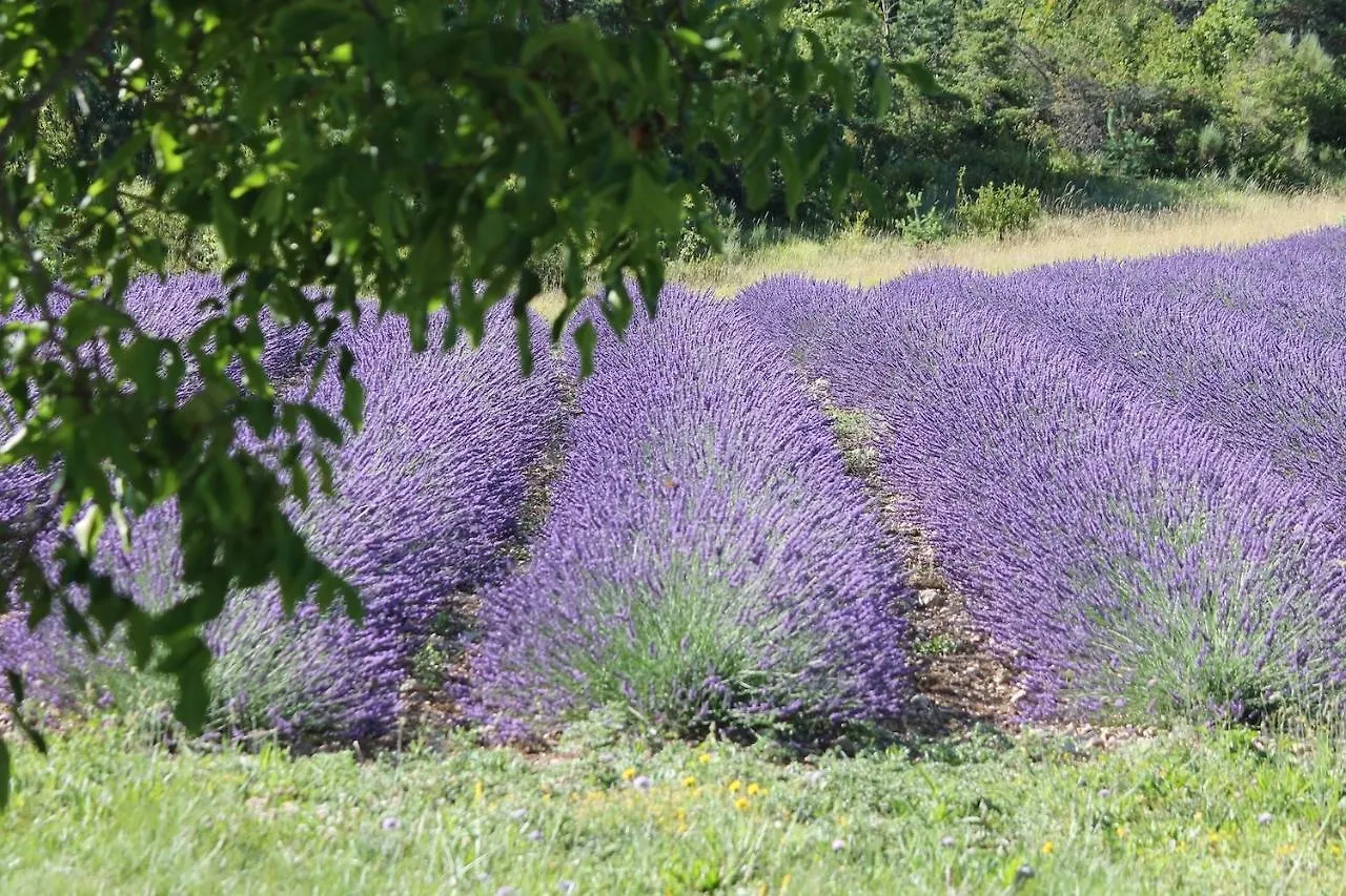 Entre Terre Et Ciel Bed & Breakfast Remuzat France